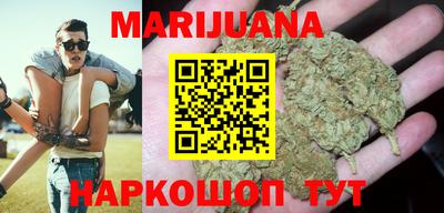 сатива Кунгур