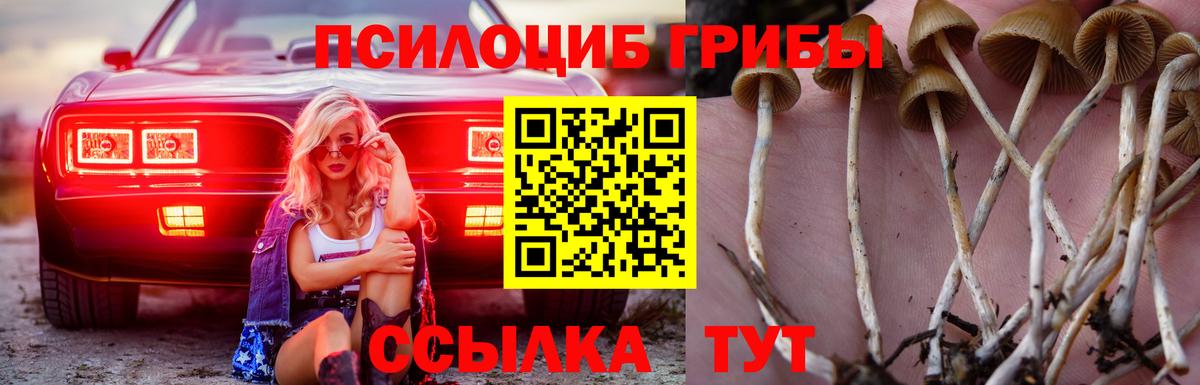Псилоцибиновые грибы MAGIC MUSHROOMS Чистополь